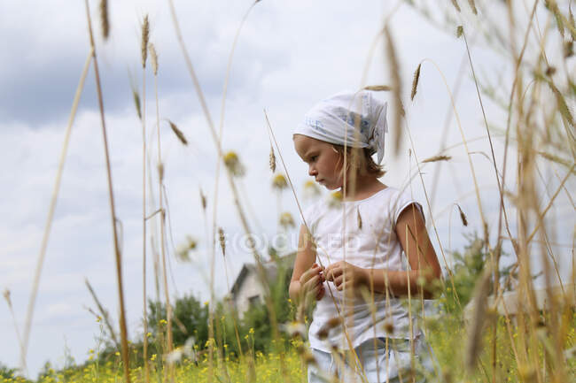 Bild eines russischen Mädchens auf einem Feld vor der Ernte. — Stockfoto