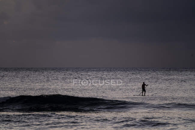 Silhouette eines Stand Up Paddlers am Abend auf Hawaii — Stockfoto