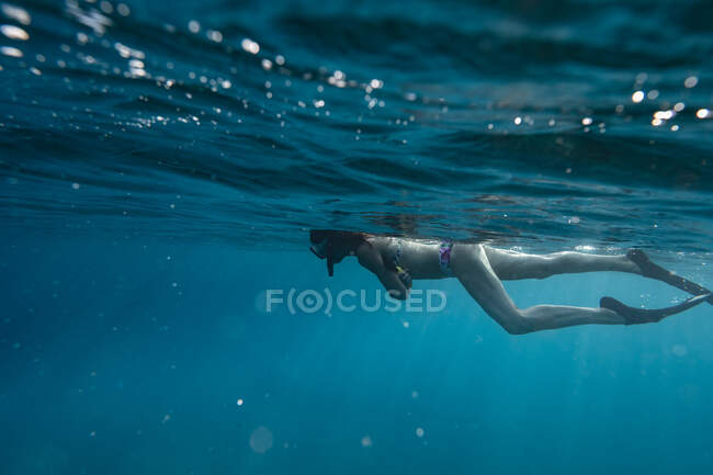 Snorkeling femminile sulla superficie dell'oceano alle Hawaii — Foto stock
