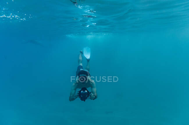 Snorkeler swims while taking photos underwater in the hawaii ocean — Stock Photo