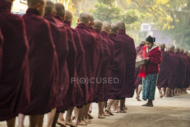 Mujer birmana dando arroz al vapor a los monjes de pie en la fila, Nyaung U, Myanmar - foto de stock