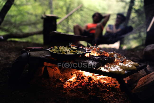 Um bom churrasco no fogo da carne e legumes — Fotografia de Stock