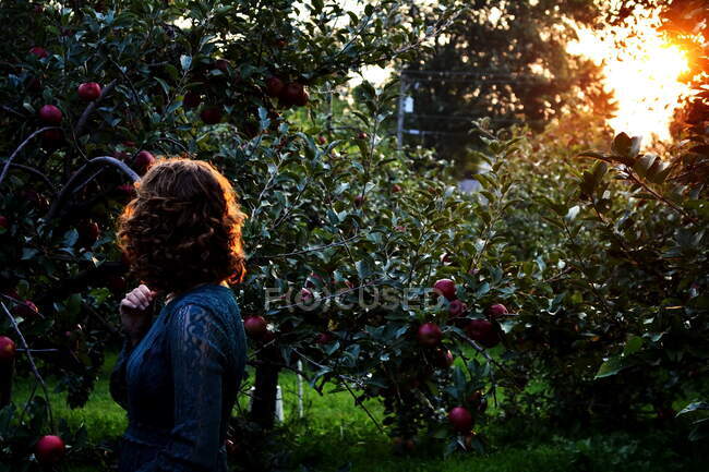 Femme au coucher du soleil parmi les arbres fruitiers — Photo de stock