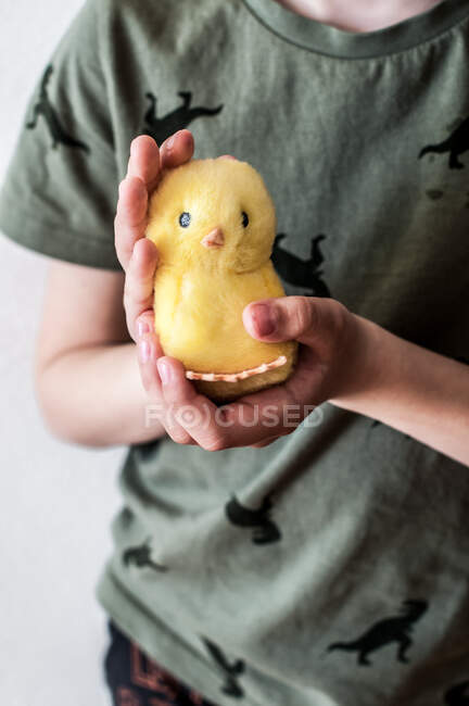 Toy chicken in children's hands on the background of a green T-shirt. — Stock Photo