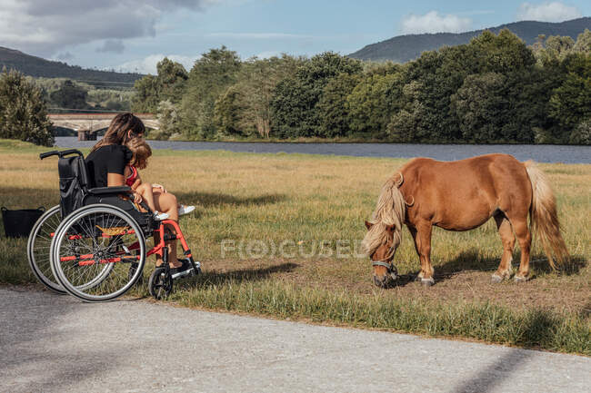 Mãe em uma cadeira de rodas com sua filhinha olhando para um pequeno cavalo — Fotografia de Stock