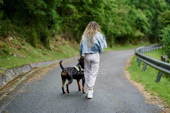 Face arrière d'une jeune femme aux cheveux blonds tressés portant une veste en denim et un jean blanc promenant son chien un jour de pluie — Photo de stock