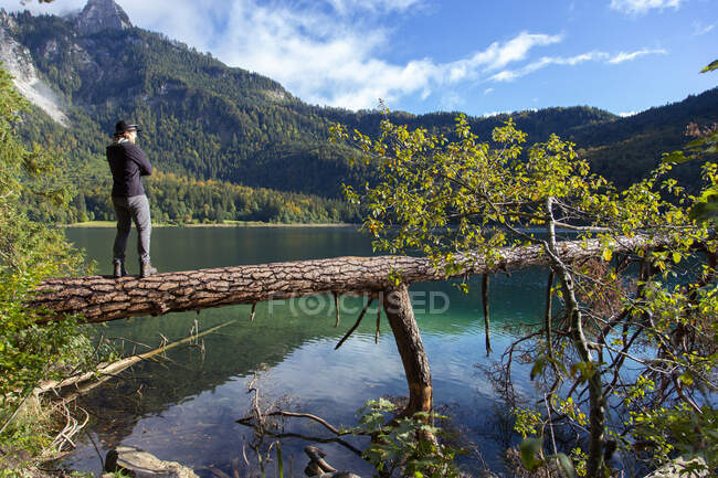 Um homem caucasiano de pé em uma árvore caída sobre o lago Alpsee, na Alemanha — Fotografia de Stock