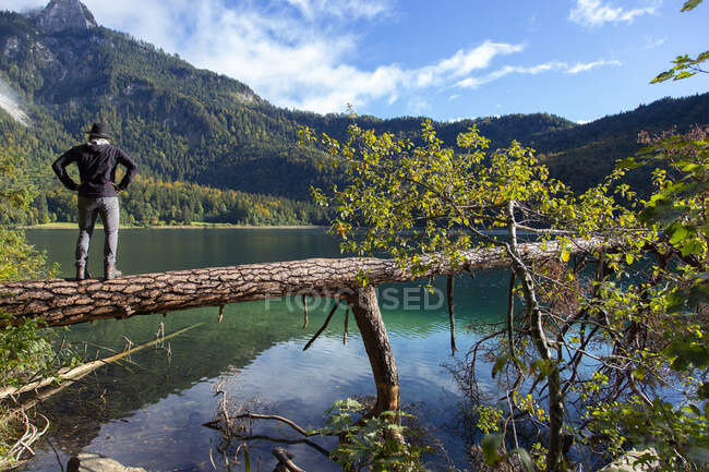 Uma pessoa de pé em uma árvore sobre um lago alpino claro na Baviera — Fotografia de Stock