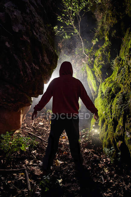 Misterioso mirando a un sendero en el bosque donde viene una luz misteriosa - foto de stock