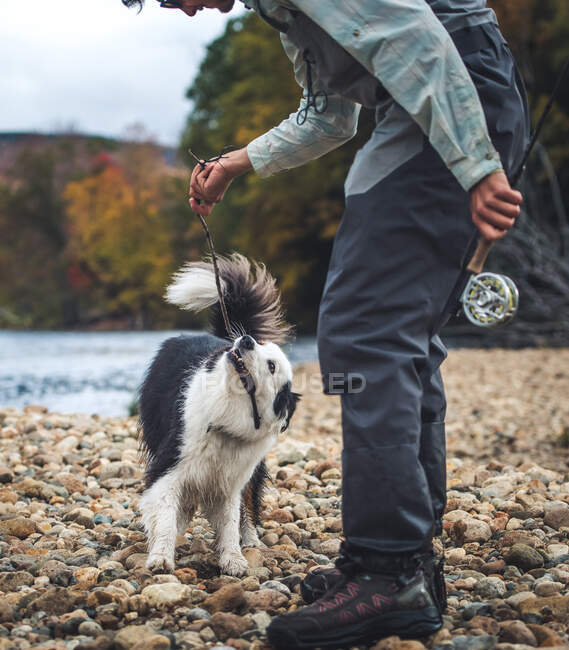 Рыбак дергает палку во рту собаки на скалистом берегу — стоковое фото