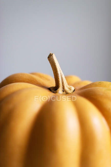 Close-up view of orange fresh pumpkin on grey background — Stock Photo
