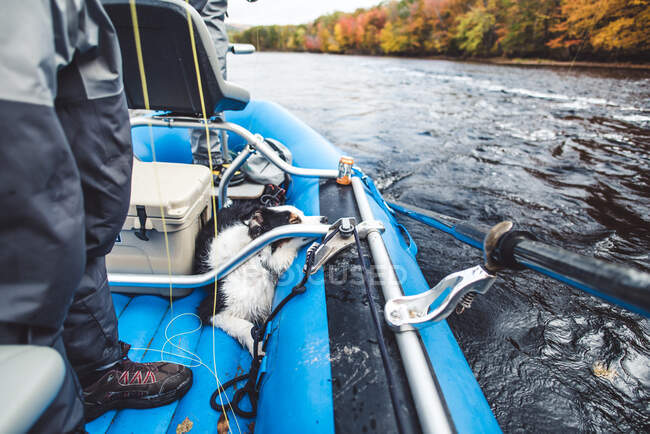 Angler mit Hund in einem Boot während der Laubzeit — Stockfoto