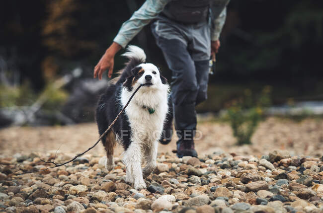 Giovane uomo che cammina con un cane in campagna — Foto stock