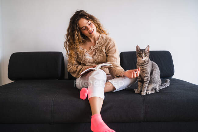 Молода жінка-власник з відкритою книгою посміхається і грає зі смугастою кішкою, відпочиваючи на зручному дивані на сірій стіні — стокове фото