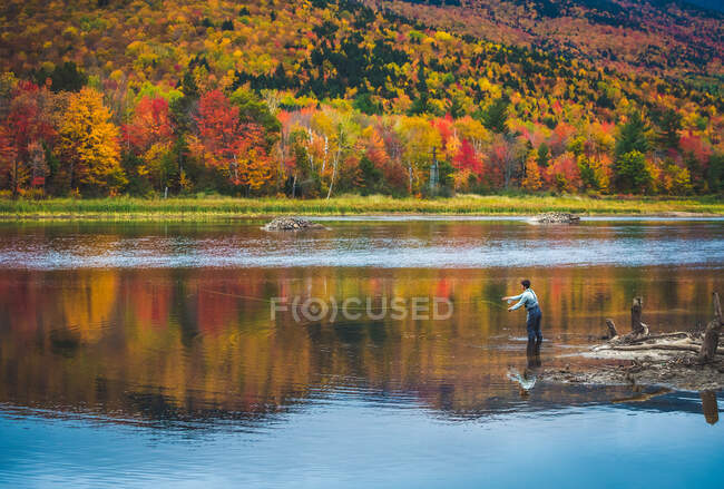 Mosca pescador casting en río con brillante follaje detrás - foto de stock