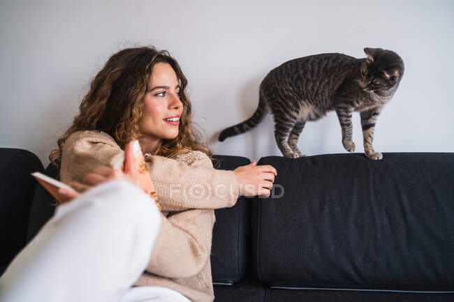 Молода жінка посміхається і грає зі смугастою кішкою, сидячи на дивані і читаючи книгу у вихідні вдома — стокове фото