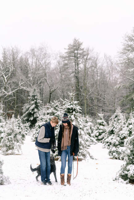 Mujer joven, hombre joven y su perro en la granja de árboles de Navidad - foto de stock
