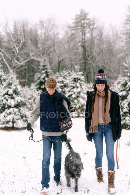 Giovane donna, giovane uomo e il loro cane alla fattoria dell'albero di Natale — Foto stock