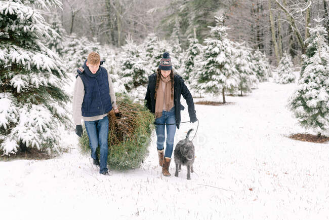 Jovem mulher, jovem e seu cão com fazenda árvore de Natal — Fotografia de Stock