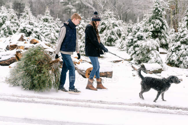 Mujer joven, hombre joven y su perro con granja de árboles de Navidad - foto de stock