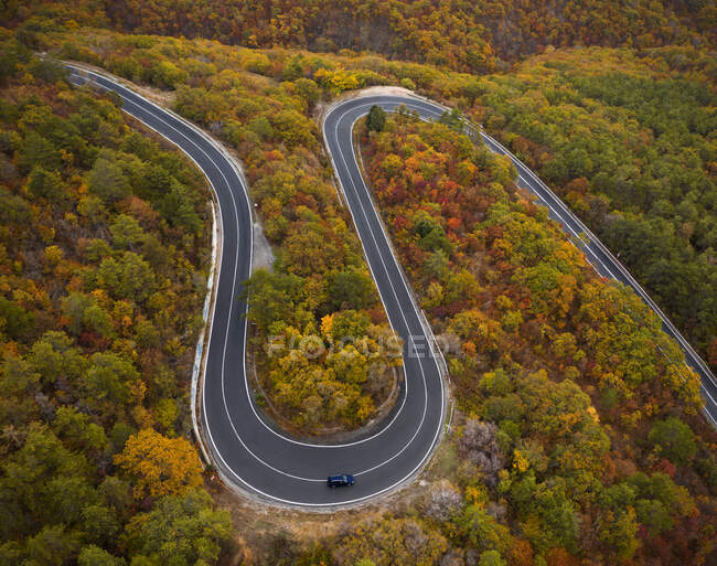 Вид с воздуха на автомобильную дорогу в осеннем лесу — стоковое фото