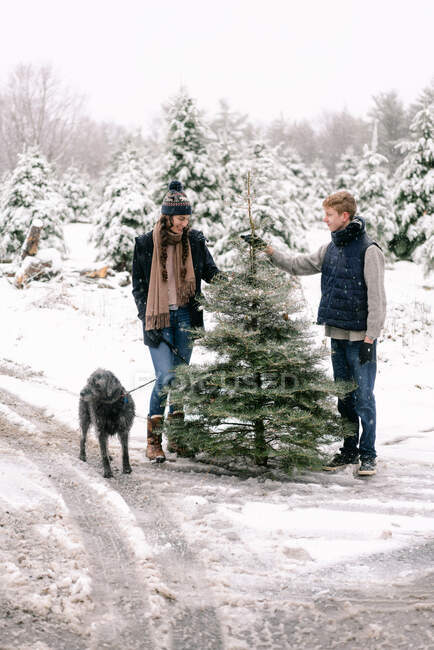 Mujer joven, hombre joven y su perro en la granja de árboles de Navidad - foto de stock