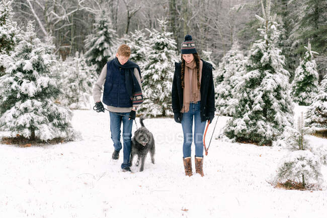 Jeune femme, jeune homme et leur chien avec ferme sapin de Noël — Photo de stock