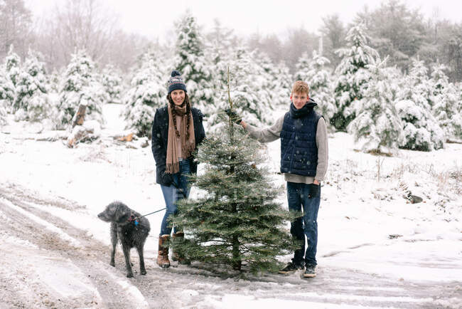Молодая женщина, молодой человек и их собака с фермой елки — стоковое фото