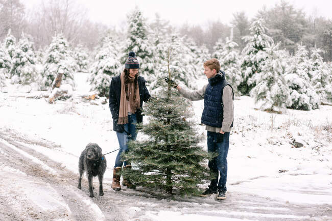 Mujer joven, hombre joven y su perro en la granja de árboles de Navidad con perro - foto de stock