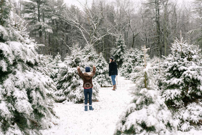 Jeune femme et petit frère à la ferme des arbres de Noël un jour d'hiver — Photo de stock