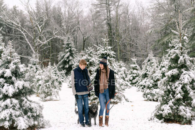 Young woman, young man and their dog  at Christmas tree  farm — Stock Photo
