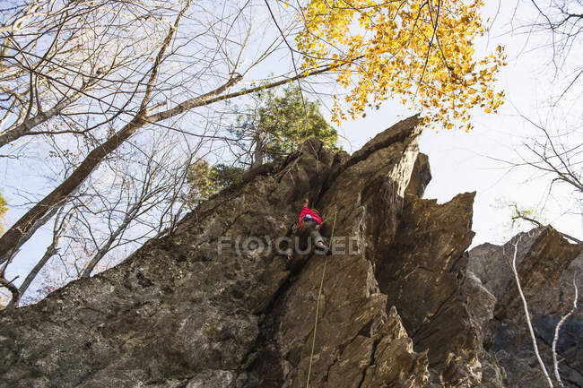 Escalador de plomo masculino en Rumney New Hampshire en otoño - foto de stock