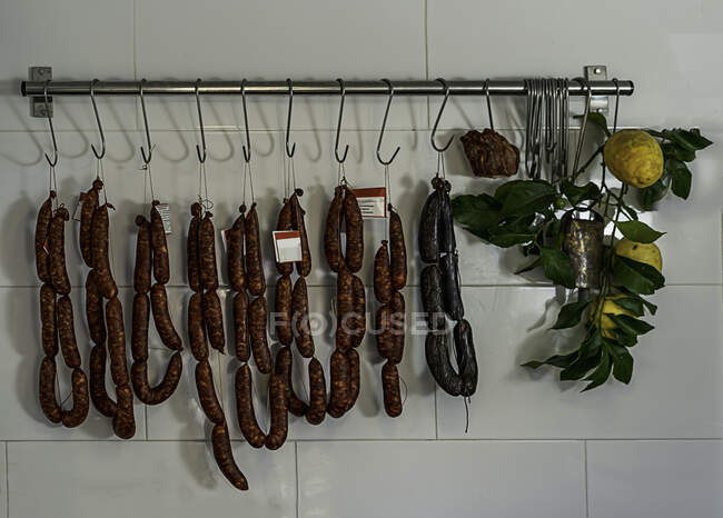 Кров'яна ковбаса, хорізо і лимони на стіні — стокове фото