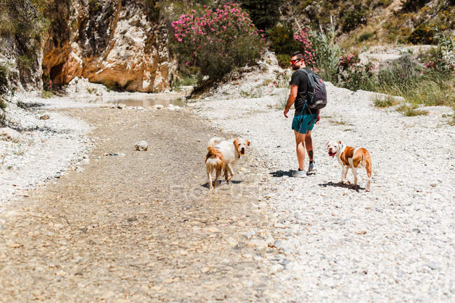 Giovane escursionista lungo il fiume con i cani — Foto stock