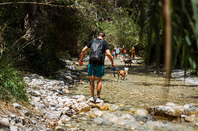 Hombre caminando río abajo con perro en el bosque - foto de stock