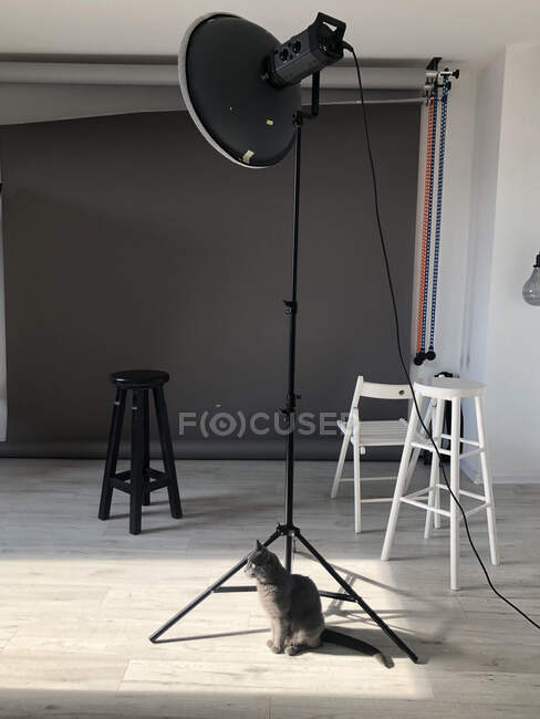 Estúdio tiro de uma bela lâmpada de fotógrafo moderno no fundo branco — Fotografia de Stock