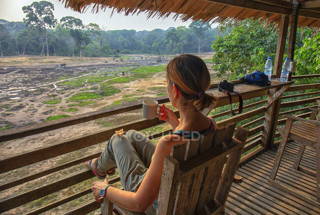 Aussichtsturm, um Elefanten in Dzanga Bai zu sehen. Hier besuchen die Afrikanischen Waldelefanten (Loxodonta africana cyclotis) die Waldlichtungen (BAI), um Salz zu gewinnen, das im Wasser gelöst wird — Stockfoto