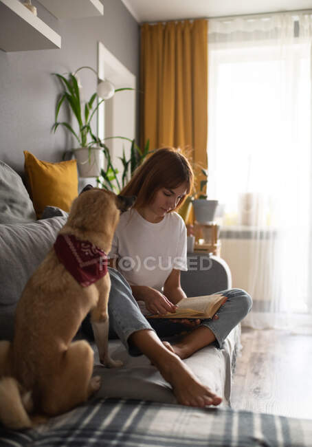 Barfüßige Hündin in lässigem Outfit sitzt auf Sofa neben Hund und liest interessantes Buch, während sie zu Hause ausruht — Stockfoto
