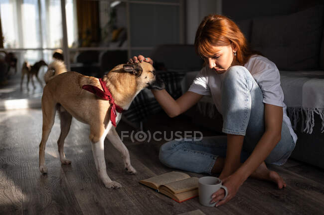 Middle aged lady with mug of hot beverage petting cute dog and treading interesting book while sitting on floor at home — Stock Photo