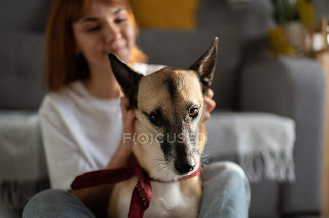 Blurred female embracing dog and scratching head of loyal pet while resting in cozy living room — Stock Photo