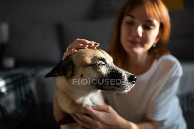 Размытая женщина нежно гладит порадованную собаку с закрытыми глазами, сидя и отдыхая дома — стоковое фото