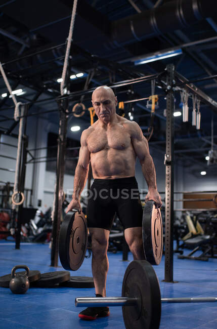 Full body muscular shirtless senior man carrying heavy weight plates while preparing barbell for weightlifting training in gym — Stock Photo