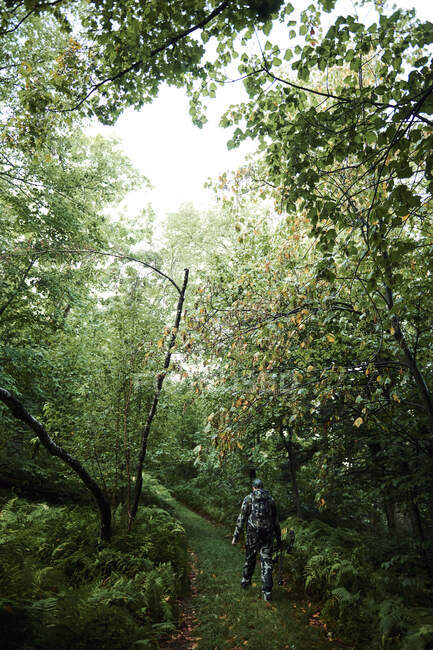 Человек в камуфляже охотится на беркширов в штате Массачусетс — стоковое фото