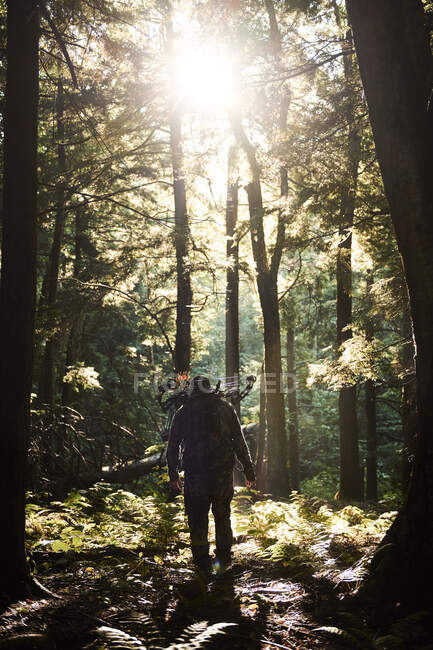 Kevin bear hunting in the Berkshires of Massachusetts — Stock Photo
