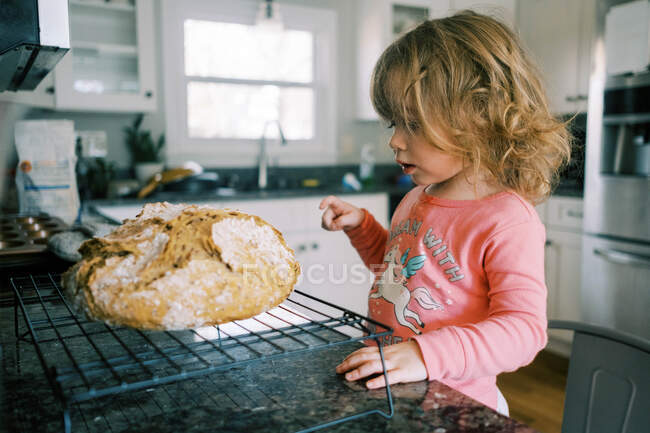 Little toddler looking at a fresh baked loaf of bread — Stock Photo