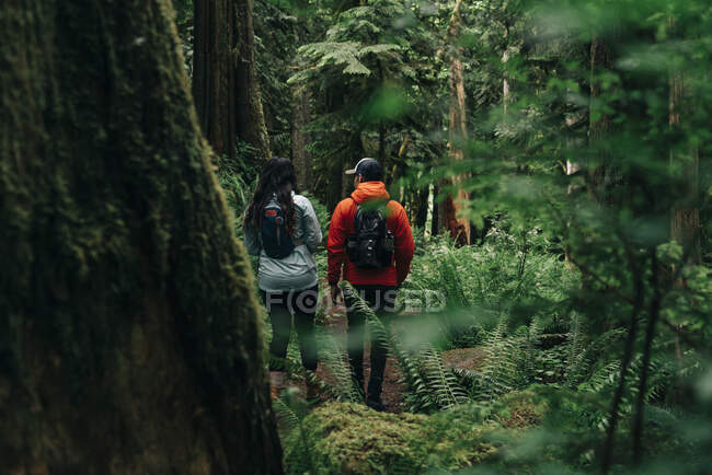 Um jovem casal desfruta de uma caminhada em uma trilha no noroeste do Pacífico. — Fotografia de Stock