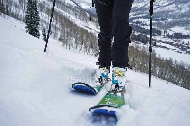Nahaufnahme von Schuhen und Skiern, während eine Person in Colorado bergauf fährt. — Stockfoto