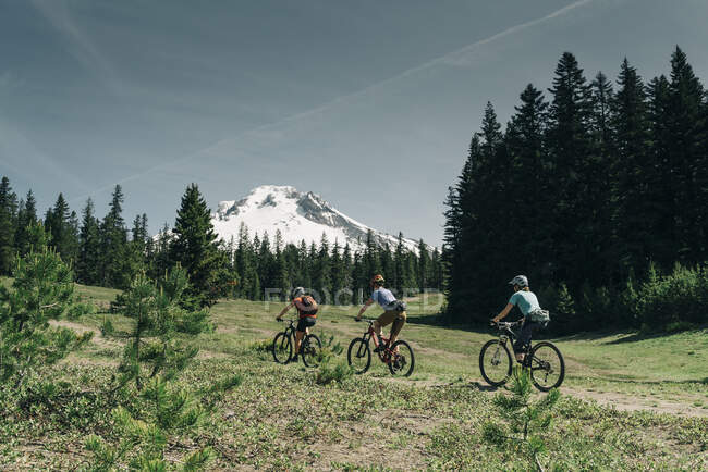 Жінки-треї їздять на велосипеді по стежці поблизу Mt. Гуд в Орегоні. — стокове фото
