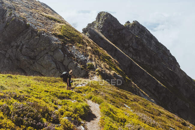Young male with backpack hikes descending mountain ridge, Cantabria. — Stock Photo