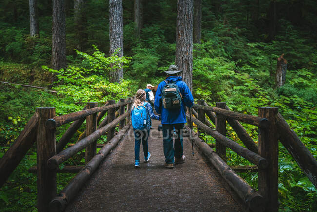 Padre e hija tomados de la mano caminando por el puente en el bosque - foto de stock